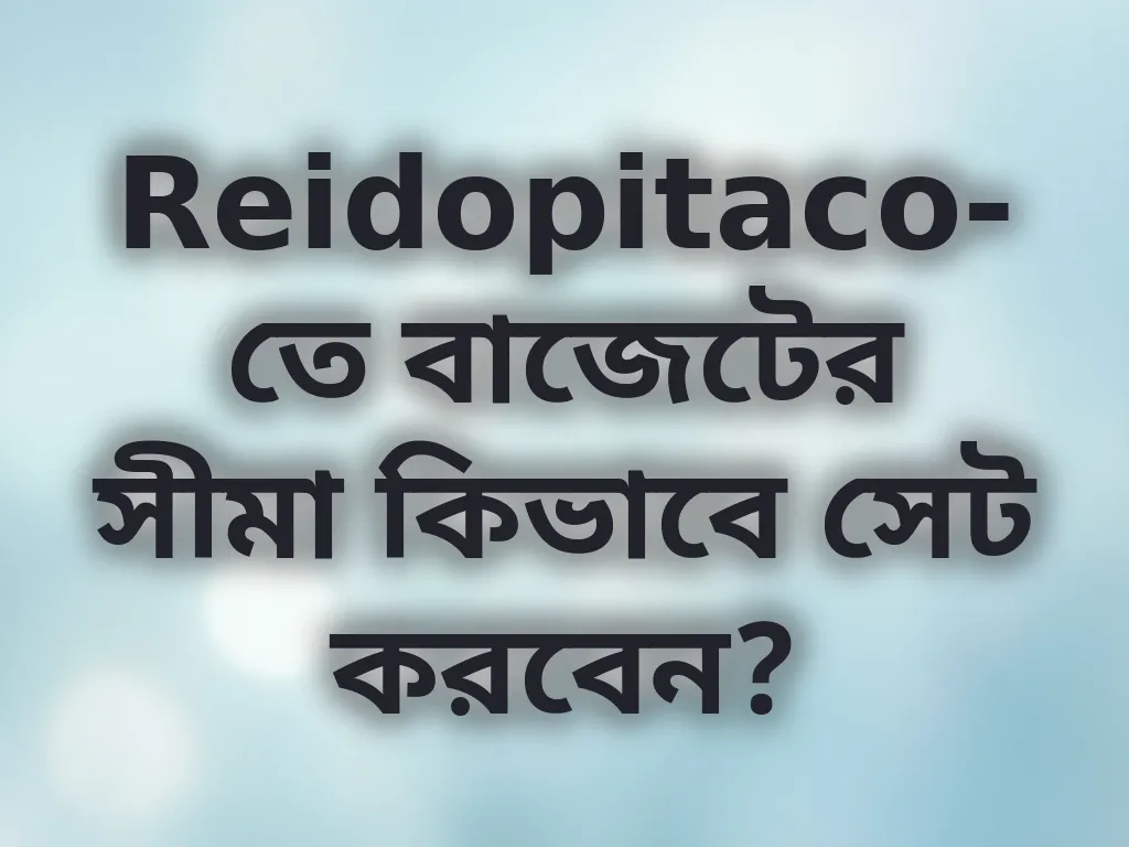 বাজেট সেট গাইড